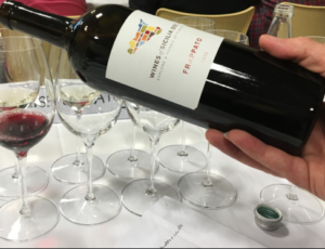 VINI DOC SICILIA: L’IMBOTTIGLIATO CRESCE  A 95 MILIONI