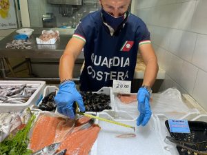 Operazione “UNDERSIZE”