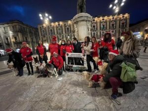 Cani per il salvataggio nel centro Catania