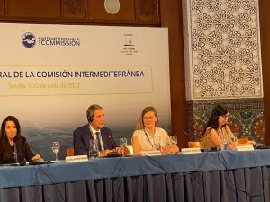 Commissione Intermediterranea: Nello Musumeci riconfermato alla guida 